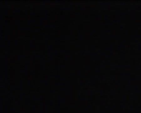 Tecknat Barn Svenska:Familjen Flinta (1995) VHSRIPPEN (Engelska) Opening Scene